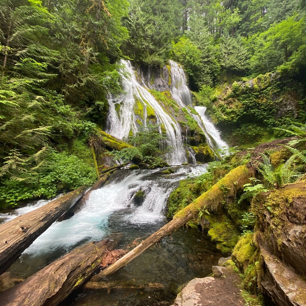 Meet your Posher, Caiden